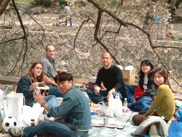 hanami_2003_c.jpg