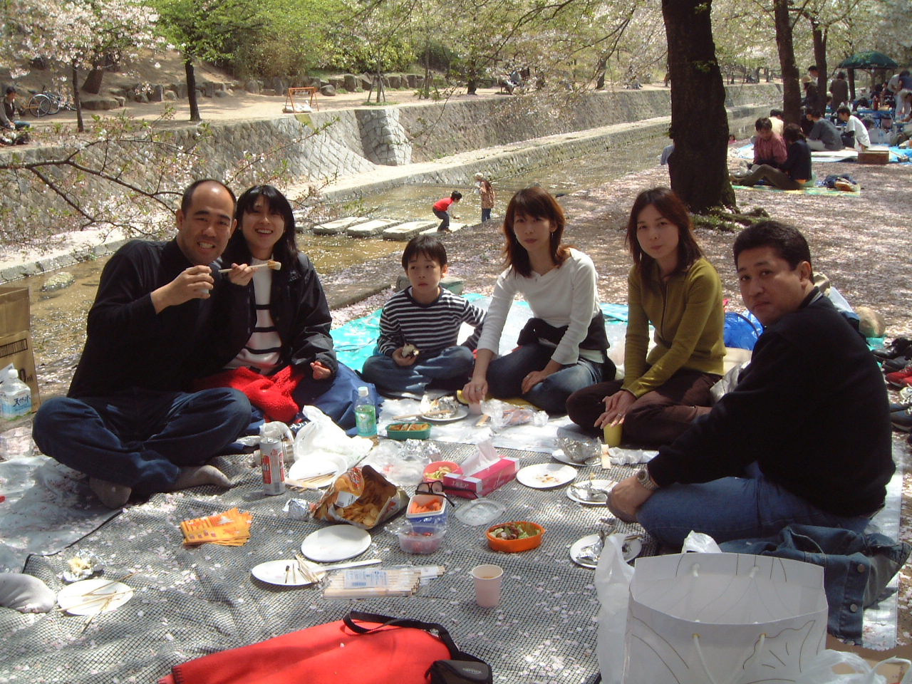 hanami_2003_s.jpg