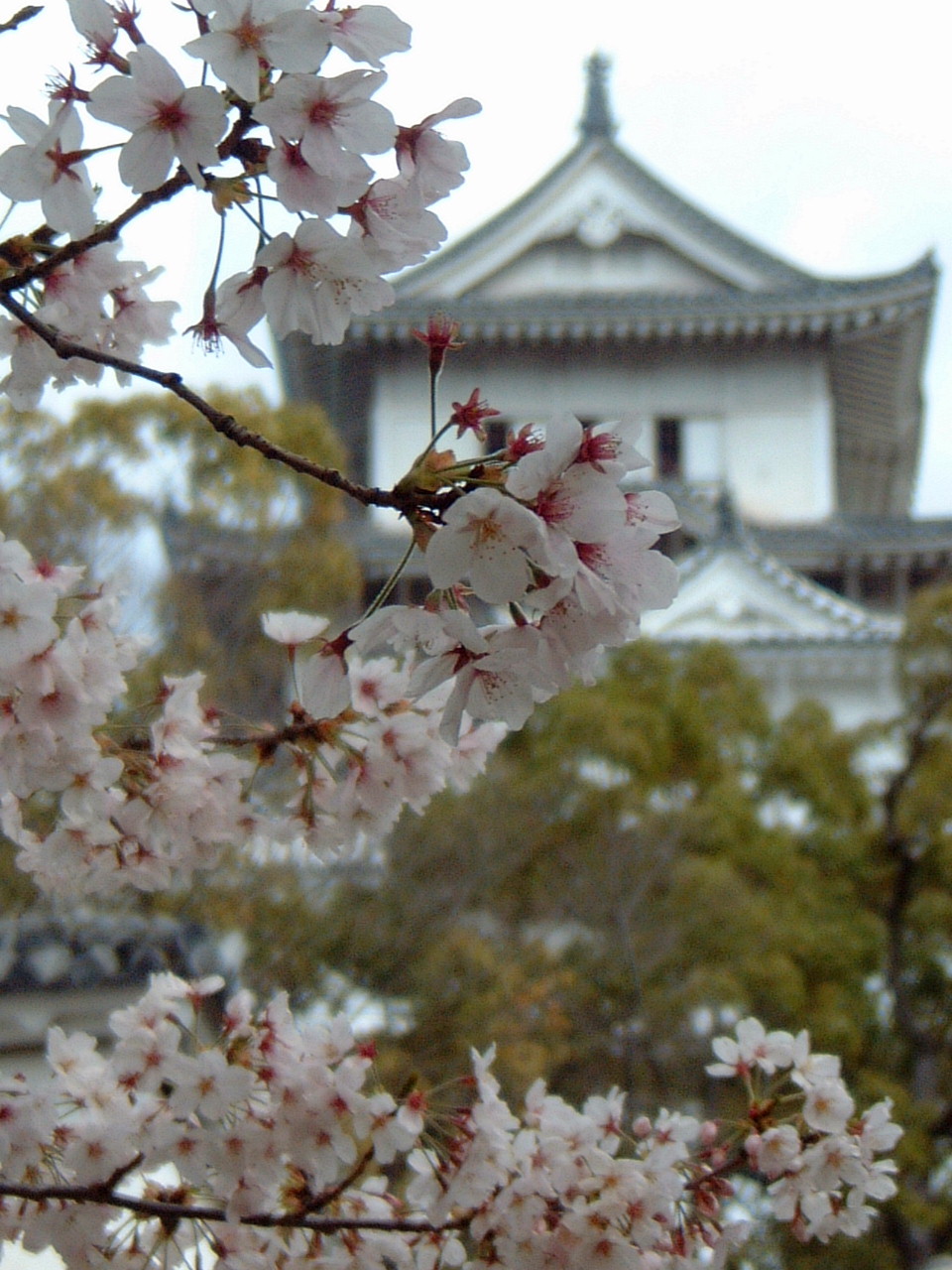 himeji_kk.jpg