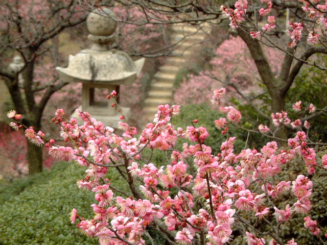 nakayamatemple18.jpg