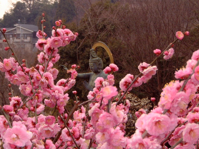 nakayamatemple28.jpg