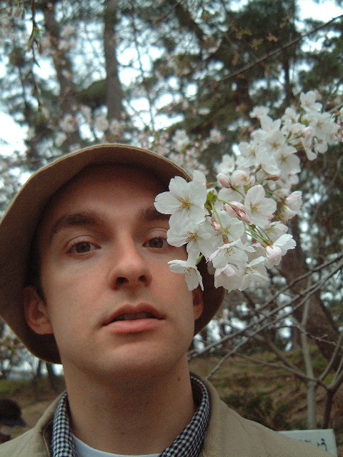 sakura_i.jpg
